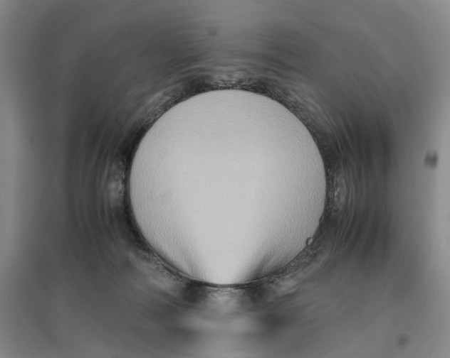 X0000096700226200802261612