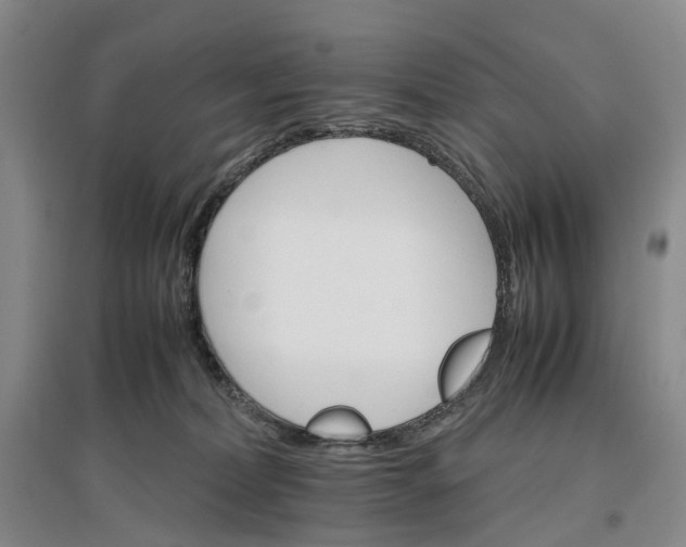 X0000096700228200802261612