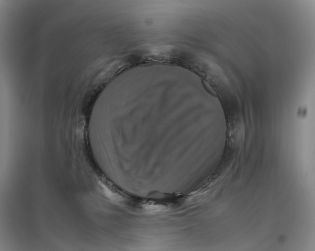 X0000096700231200802261612