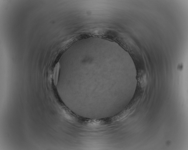 X0000096700235200802261612