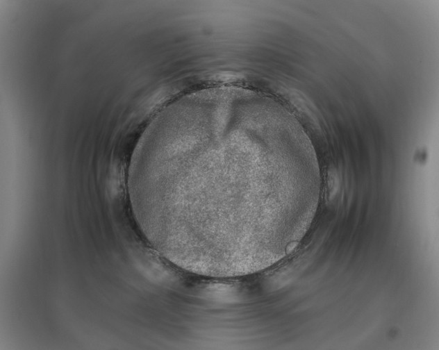 X0000096700236200802261612