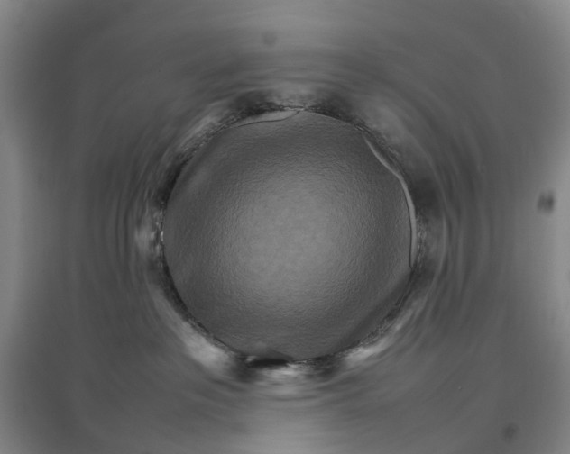 X0000096700237200802261612