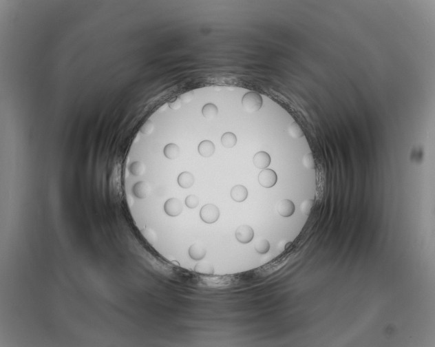 X0000096700238200802261612