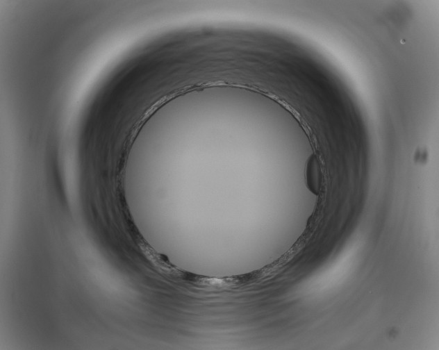 X0000096700239200802261612
