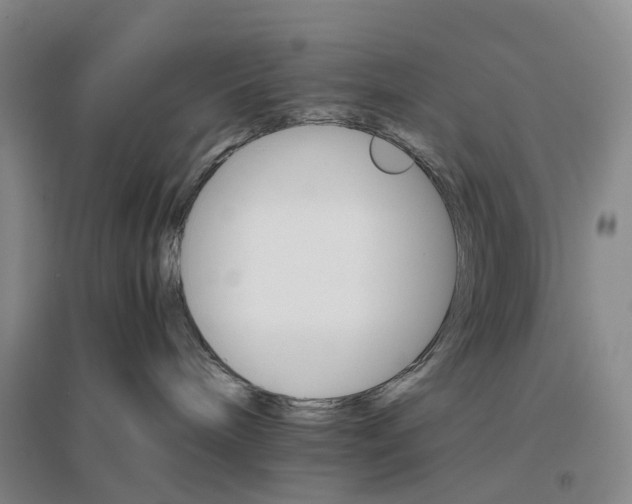 X0000096700240200802261612