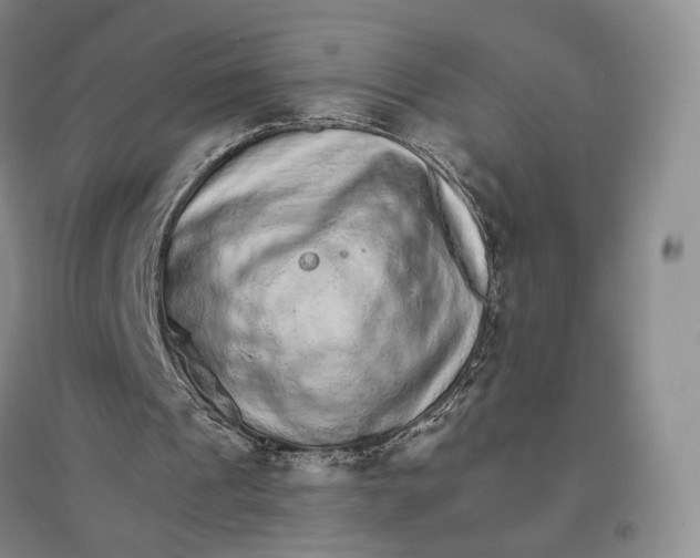 X0000096700241200802261612