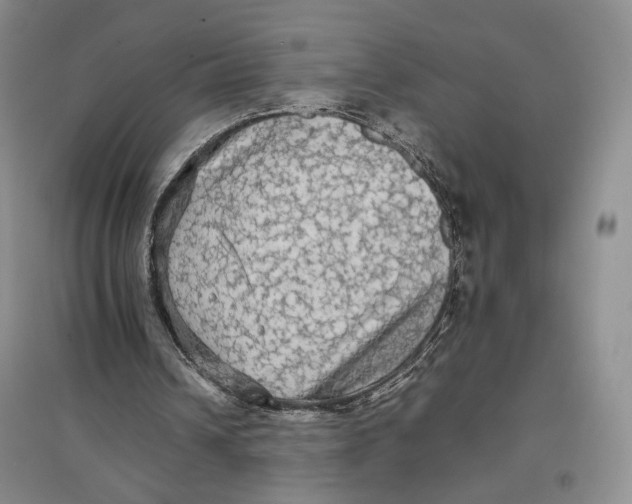 X0000096700242200802261612