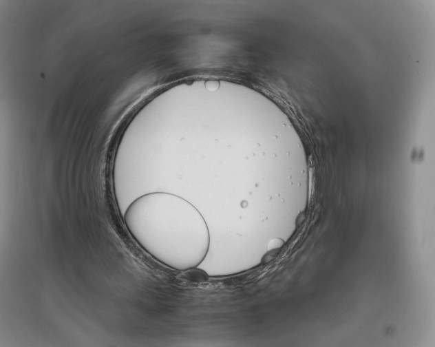 X0000096700243200802261612