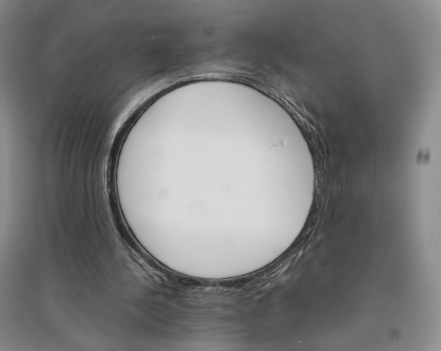 X0000096700244200802261612