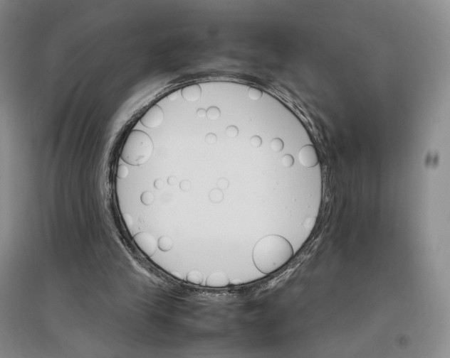 X0000096700245200802261612