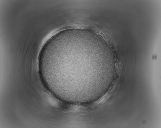X0000096700246200802261612