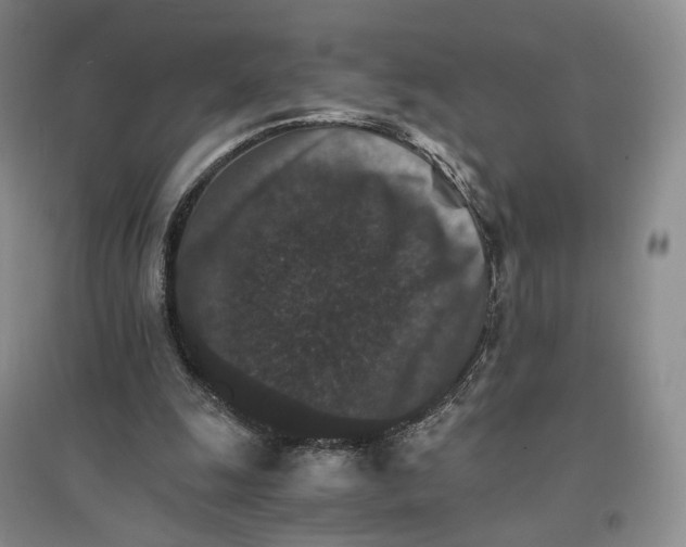 X0000096700247200802261612