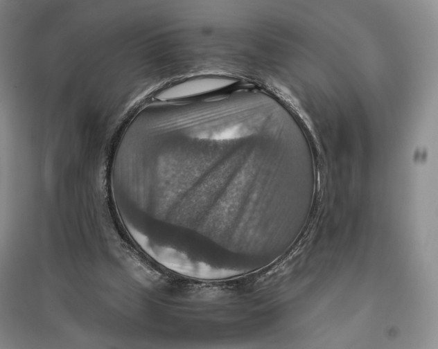 X0000096700249200802261612