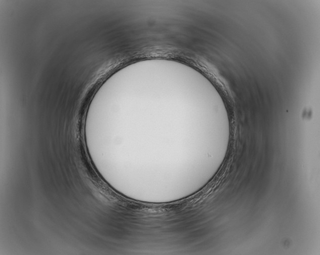 X0000096700250200802261612
