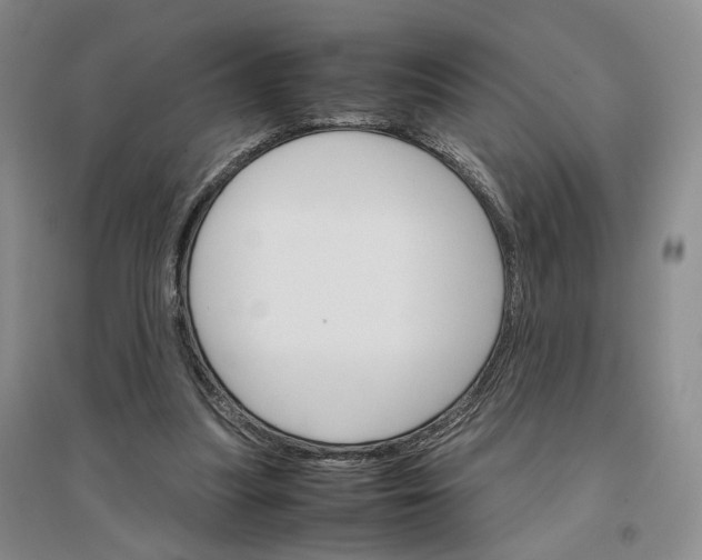X0000096700251200802261612