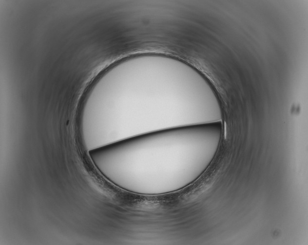 X0000096700252200802261612
