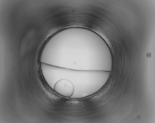 X0000096700253200802261612