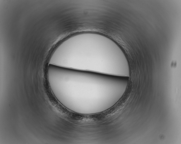 X0000096700256200802261612