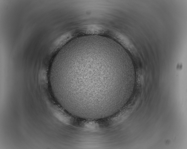 X0000096700258200802261612