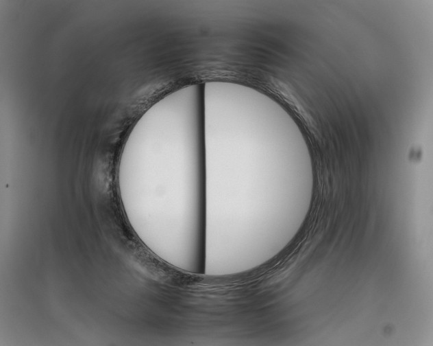 X0000096700259200802261612
