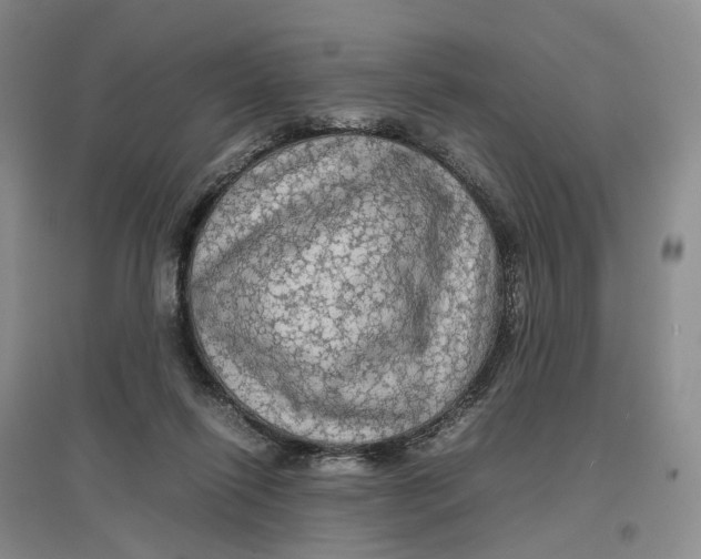 X0000096700262200802261612