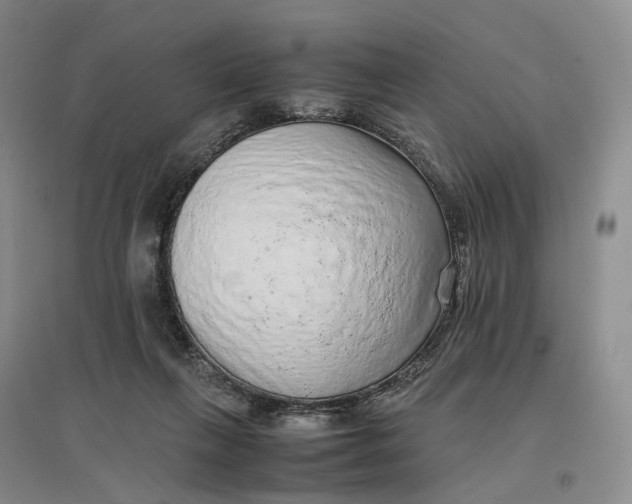 X0000096700263200802261612