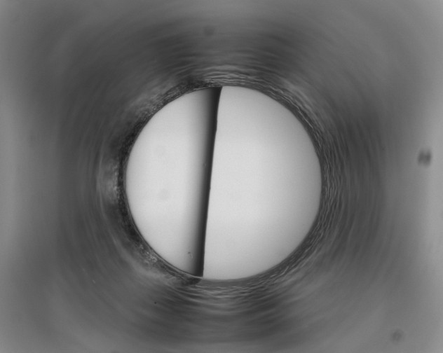 X0000096700267200802261612