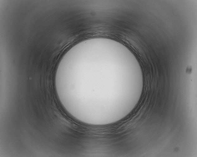 X0000096700268200802261612