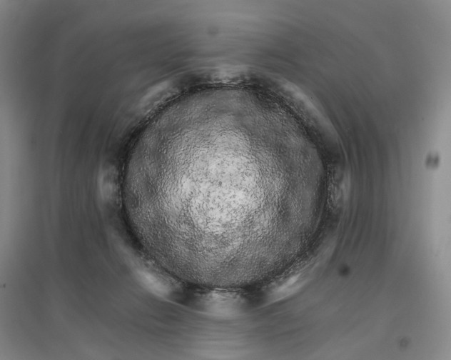 X0000096700270200802261612