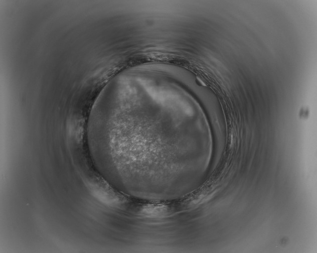 X0000096700271200802261612