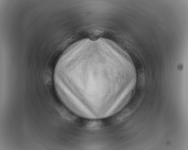 X0000096700274200802261612