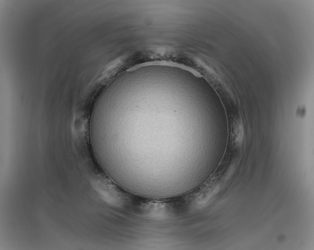 X0000096700276200802261612