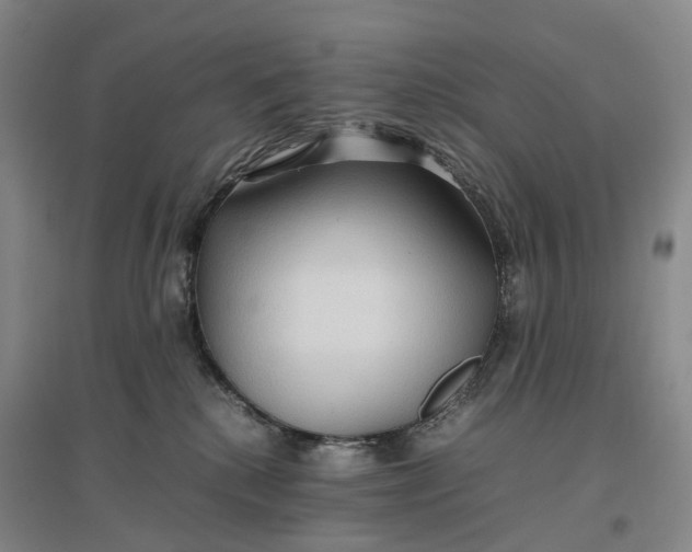 X0000096700280200802261612