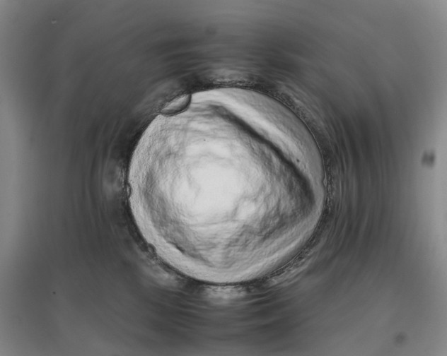 X0000096700281200802261612