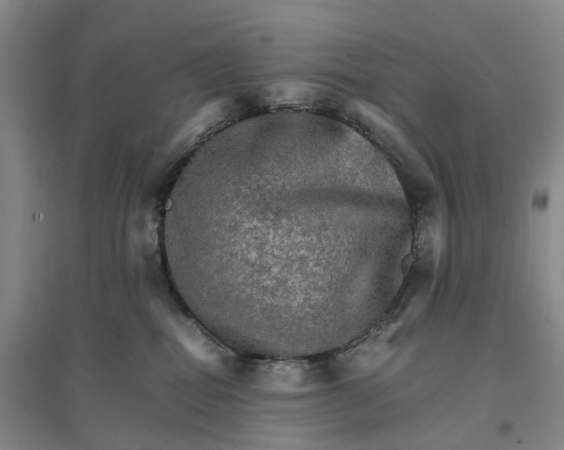 X0000096700282200802261612