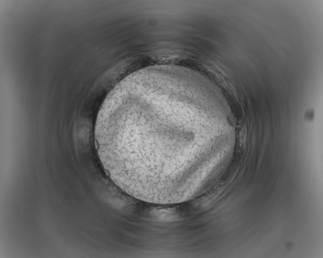 X0000096700283200802261612
