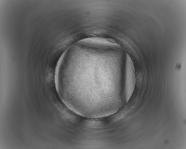 X0000096700284200802261612
