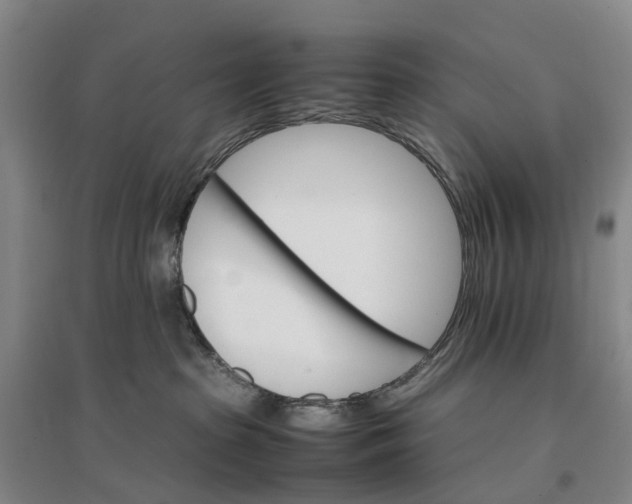 X0000096700285200802261612