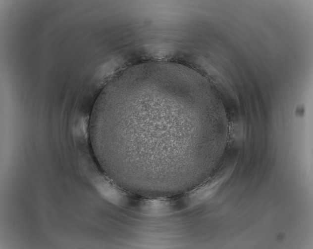 X0000096700286200802261612