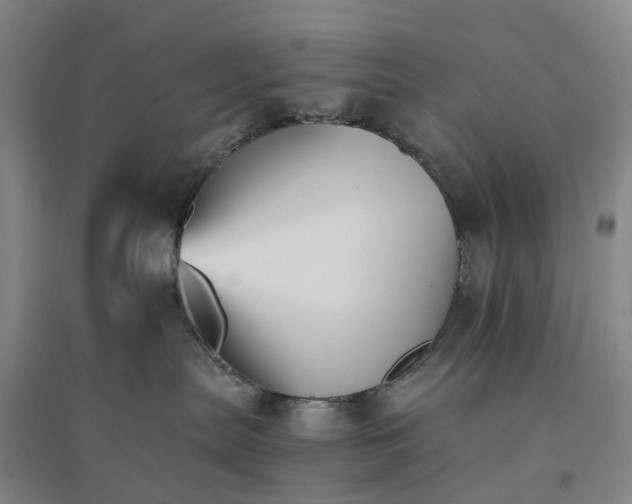 X0000096700287200802261612