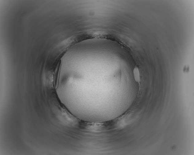 X0000096700288200802261612