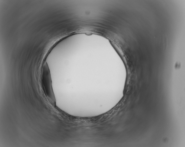 X0000096700289200802261612