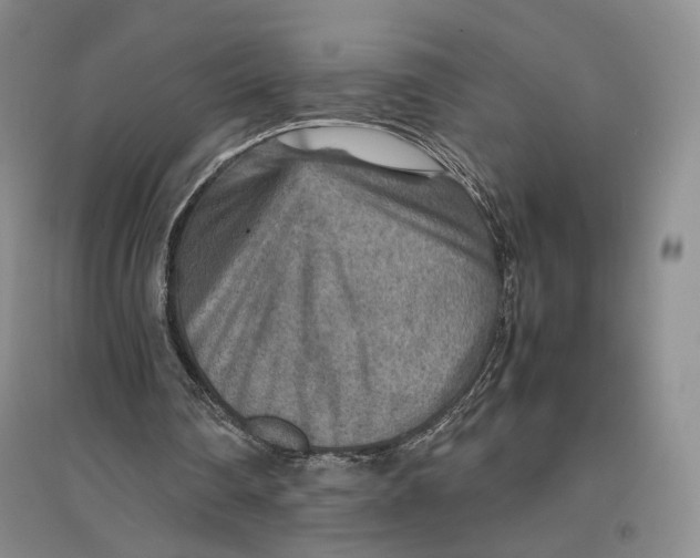 X0000096700290200802261612