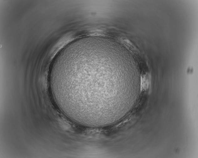 X0000096700291200802261612