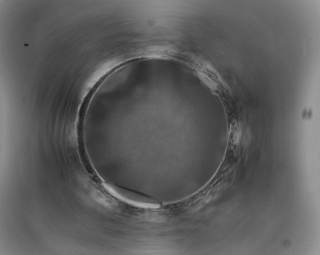 X0000096700292200802261612