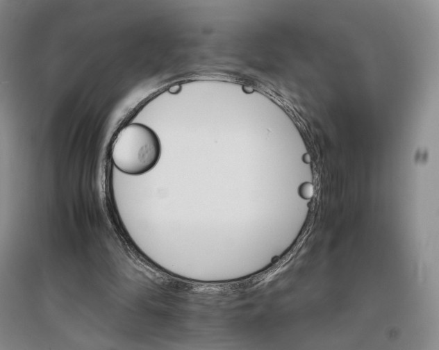 X0000096700294200802261611