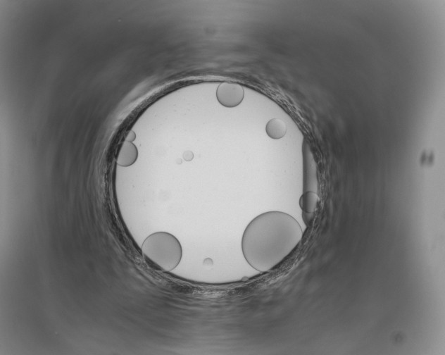 X0000096700295200802261611