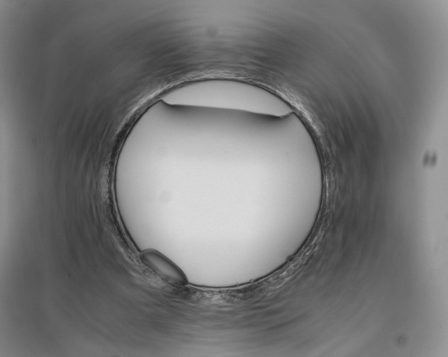 X0000096700297200802261611