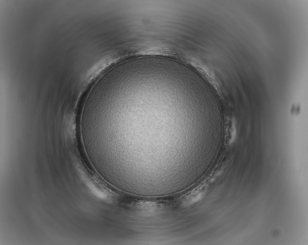 X0000096700298200802261611
