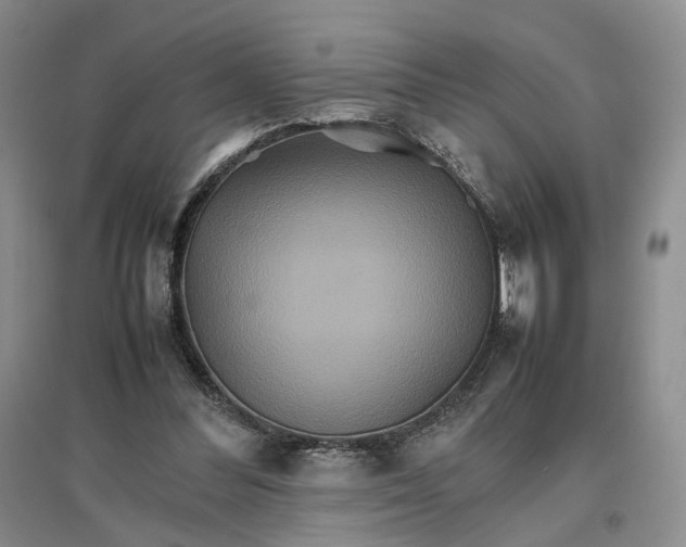 X0000096700300200802261611